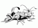 Yoshitaka Amano — Final Fantasy I 35