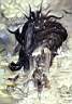 Yoshitaka Amano — Final Fantasy I 12