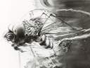 Yoshitaka Amano — Noir & Blanc 04